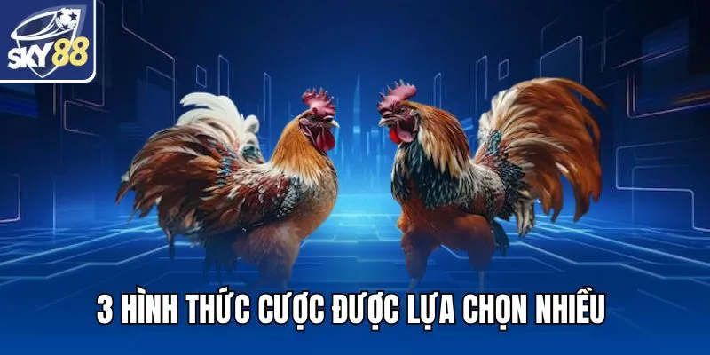 3 hình thức cược chọi kê được lựa chọn nhiều