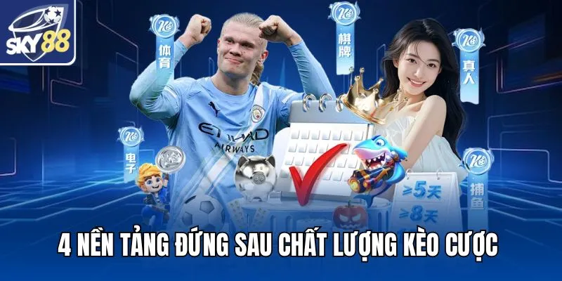 4 nền tảng đứng sau chất lượng kèo cược