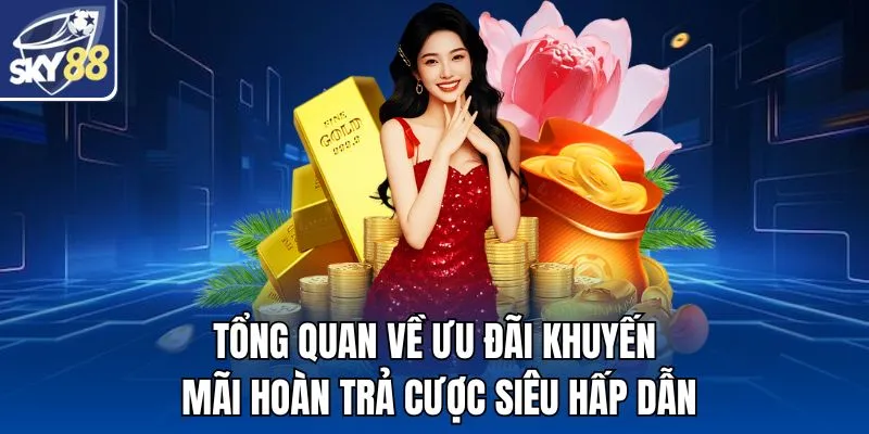Tổng quan về ưu đãi khuyến mãi hoàn trả cược siêu hấp dẫn